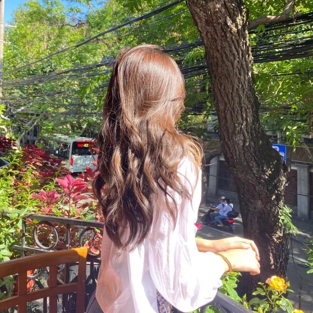 龙蛇